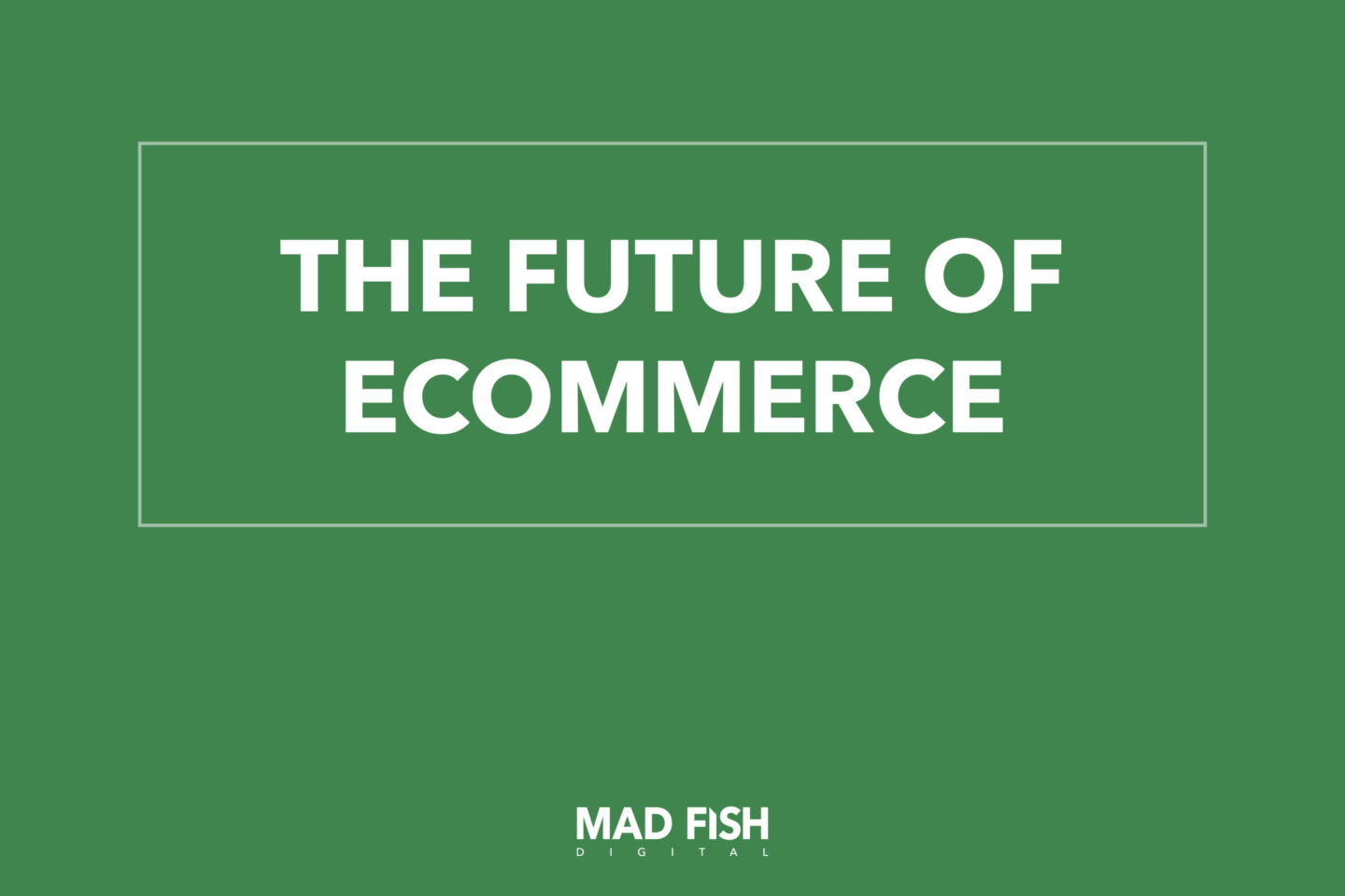 Mad Fish Ecommerce Report