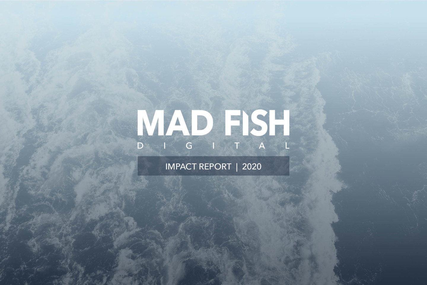 Waves with Mad Fish Digital logo and Impact Report 2020